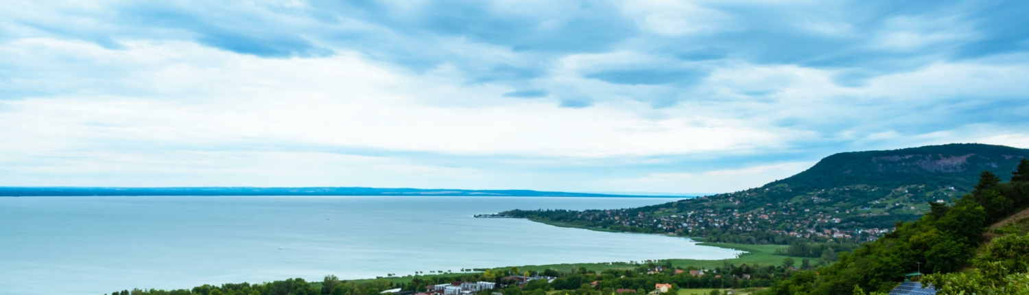 pexels-nikiemmert-13101097